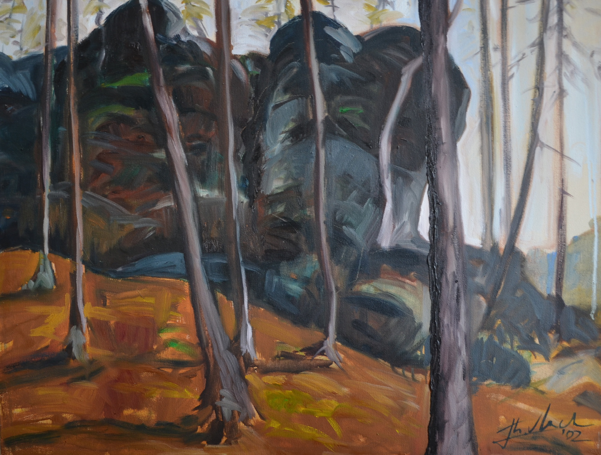 Am tiefen Grund, 2002, 68 x 89 Öl auf Leinwand